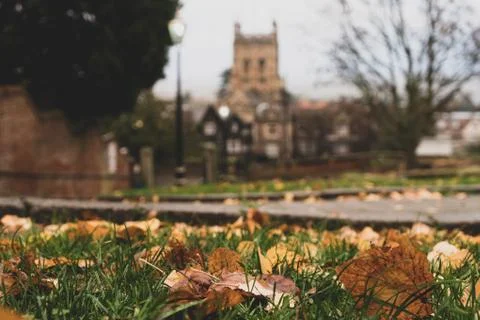 A low angle, depth of field shot of autumn leaves, With a priory and gas lamp Stock Photos