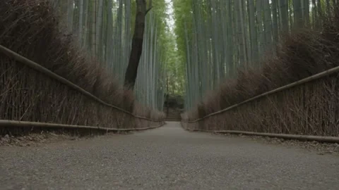 Low Angle Deserted Arashiyama Bamboo Grove in Kyoto - Gimbal Shot, 60 FPS Stock-Footage 228835575