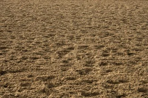 Low Angle of Dirt Track 写真素材