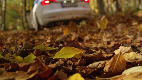 LOW ANGLE, DOF, SLOW MOTION: White car drives through forest over autumn leaves Stock Footage 343189841