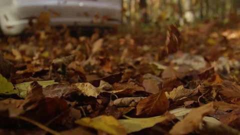 LOW ANGLE, DOF, SLOW MOTION: White car swirling flying leaves on a forest road Stock Footage 343190793