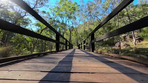 Low Angle Dolly Forward Across Wooden Footbridge on Forest Trail Stock Footage 345024516