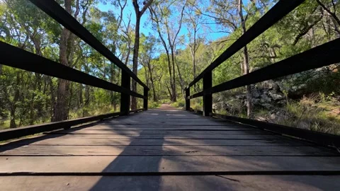 Low Angle Dolly Forward Over Wooden Bridge on Forest Hiking Trail Stock Footage 345693553