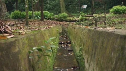 Low angle drainage in the mountains with clear springs and abundant vegetation Stock Footage 272910014