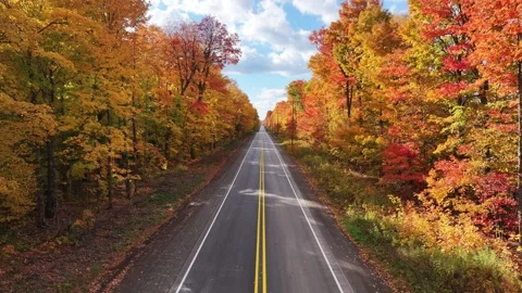 Low Angle Drone Above A Rural Road With Vibrant Autumn Colors Aerial Stock Footage 315265862
