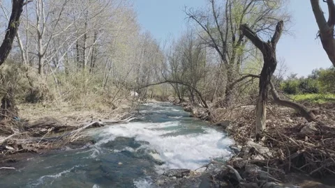 Low angle drone flight over rushing river - forest stream 4k Stock Footage 331742767