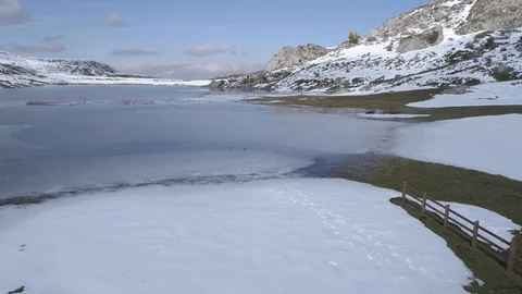Low angle drone shot of ducks walking through a frozen lake Stock Footage 126352560