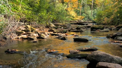 Low angle drone shot flying over stream during autum colors Stock Footage 255610908