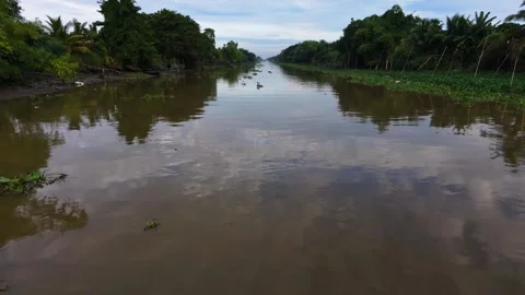 Low angle drone shot gliding over calm canal at low tide Vídeos de archivo 342924447