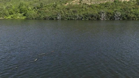 Low-Angle Drone View of Dam Stock Footage 313450792