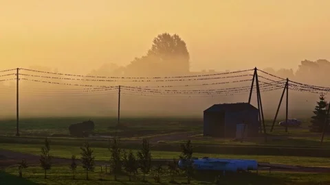Low angle drone view of a grain barn in rural Latvia Stock Footage 336234735