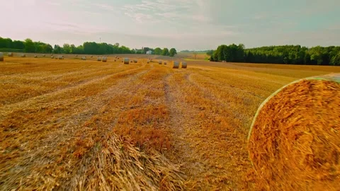 Low angle drone view of harvested hay field with round bales 库存影片 345034514