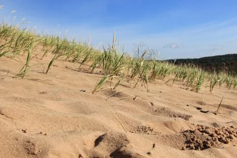 Low angle of dunes of Sleeping Bear Dunes National Lakeshore Stock Photos