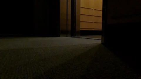 Low angle of elevator opening and closing in Austin,TX 8/17/26 Stock Footage 342564712