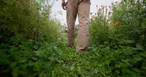 Low angle of farmer walking barefoot 库存影片 218488323
