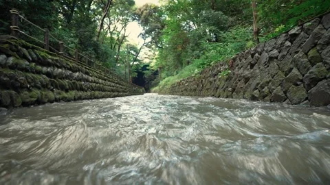 Low angle fast flowing river between mossy stone walls with cicadas Stock Footage 346362317
