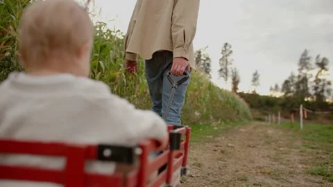 Low angle of father pulling daughter in wagon 库存影片 219405153