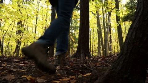 Low Angle of Feet walking through forest Stock Footage 97758159