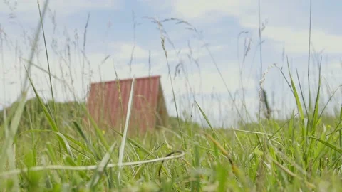 Low angle of field Stock Footage 198068711