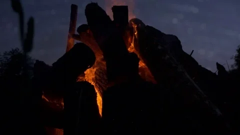 Low angle fire bonfire at night forest evening sky with shining stars at 動画素材 101834238