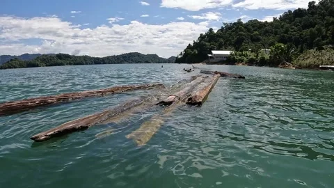 Low Angle Floating Logs with Village House in far Background Stock Footage 296686008