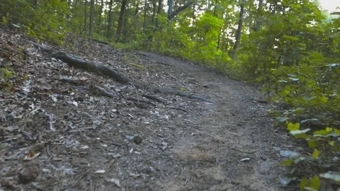 Low angle Flycam slowmo walking small worn path Stock Footage 90355137