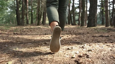 Low angle follow shot of young woman legs walking trough coniferous forest Stock Footage 287075739