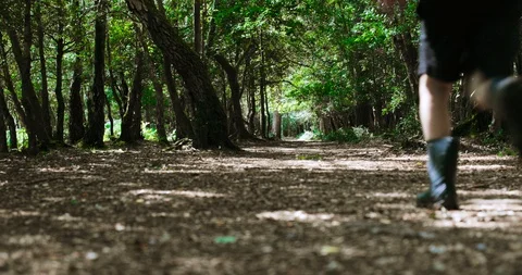Low angle following shot boy running in forest Stock Footage 116046121