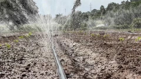 Low angle footage captures strong water streams striking the soil, while distant Stock Footage 327793653