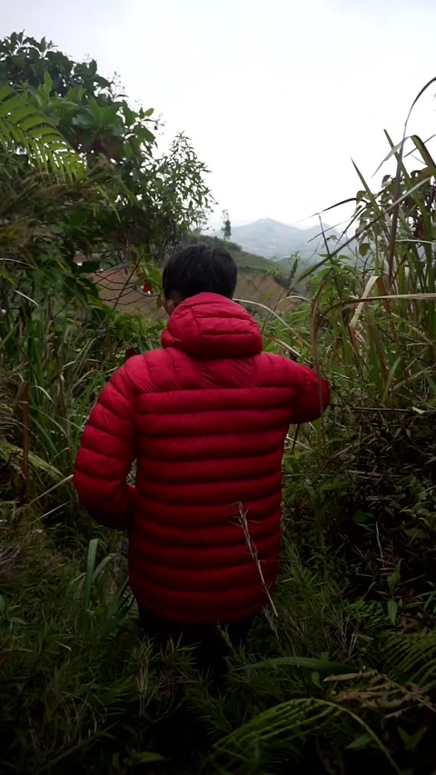Low-angle footage documenting a solo adventurer navigating overgrown mountain Stock Footage 340505836
