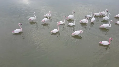 Low angle footage Video stock 150370139