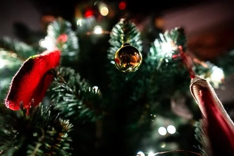Low angle footage of the twig of festive Christmas pine decorated for Stock-Fotos