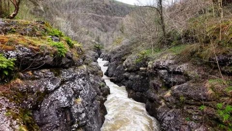 Low Angle Forward Motion Along Canyon River Flow 4K Cinematic Shot Video stock 334427474
