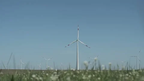 Low angle full shot of wind generators on windmill field with grass Stock Footage 238009901