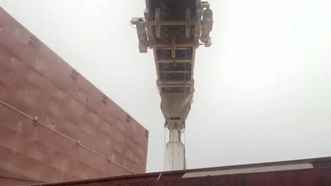 Low angle Grain wheat loading to bulker ship with grain elevator in port Stock Footage 276278219