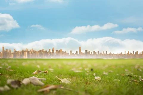 Low-angle grass field is being shown in flat design with green blades dry leaves Illustrazione stock