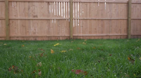 Low Angle Grass Move Left and Right Fence in Background Video stock 68778063