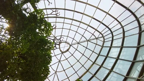 Low angle at greenhouse Dome ceiling in a humid jungle of Colombia, skyline Stock Footage 315761880