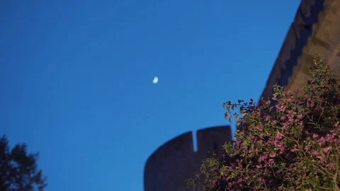 Low angle handheld shot of palace against blue sky Stock Footage 120044275