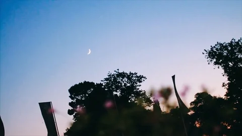 Low angle handheld shot of silhouetted treetop against sky during sunset Stock Footage 122518614