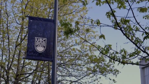 Low angle handheld tracking shot advancing toward blue UBC street banner on Stock Footage 333610780