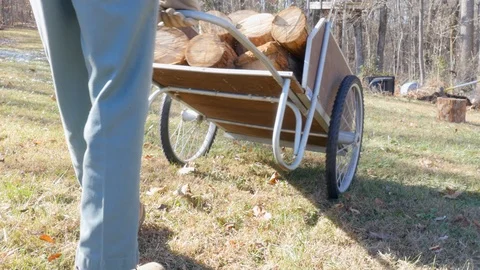 Low Angle of a Hardworking Man Pushing a Wheelbarrow in 4k Stock Footage 86079191