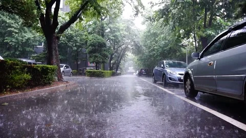 Low-Angle Heavy Rain on Residential Road with Cars and Trees, HD Stock Footage 202299262