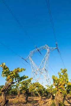 Low angle of a high-voltage cable tower in vineyard fields in Subirats region, P Foto stock