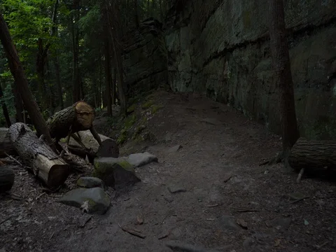 Low angle hike along rock wall at Ledges Video stock 82733201