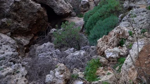 Low angle hiking in a lush canyon Stock Footage 123482601