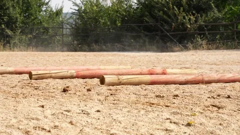 Low angle of horse legs stepping through gaps between wooden bars Stock Footage 315259670