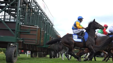 Low angle horse racing start close up from start boxes at race track Stock Footage 106358558