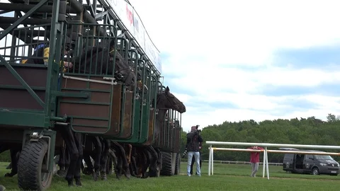 Low angle horse racing start slow motion close up from start boxes at race track Stock Footage 106374146