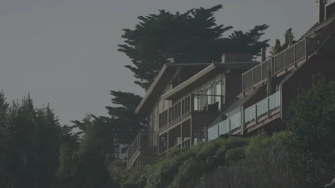 Low angle of houses on hill surrounded by trees, San Francisco Stock Footage 333578308